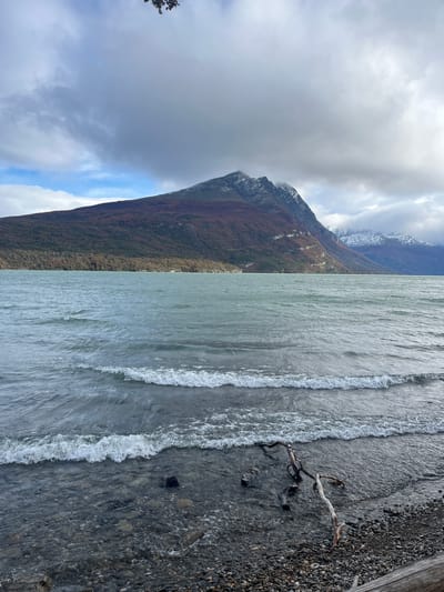 The image depicts a landscape with a mountain on the left side and water on the right side. The mountain is partly covered by clouds and has a mix of trees and rocky terrain. The water appears to be a lake or sea, with small waves reaching a rocky shore. There's driftwood on the shore. The location is suggested to be near Lapataia, Argentina.