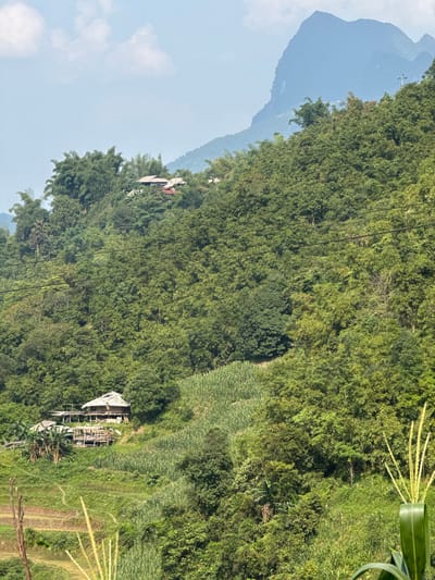 The image shows a mountainside in Mậu Duệ Commune, Vietnam. Lush green vegetation covers the slopes, including dense trees and cultivated fields. Two small buildings are visible on the hillside, partially obscured by the foliage. A tall mountain range is visible in the background against a light blue sky. Power lines run across the landscape. The image is tilted at an angle.