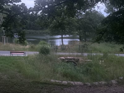 This image depicts a serene natural scene likely located in Ludwigsburg, Germany. In the foreground, tall green grass grows abundantly, partially obscuring a small, arched stone culvert with dark interior. A rough pathway made of gravel and stones runs across the bottom of the frame. To the left, a paved path runs horizontally, bordered by grass. A single red bench with dark legs is situated on this path, facing away from the viewer. Further into the scene, a black metal railing runs along the edge of the paved path, separating it from the grassy embankment. Beyond the railing, the embankment slopes down towards a body of water, likely a river or large pond, reflecting the overcast sky. Dense green foliage and trees form a thick backdrop, with some branches extending into the top of the frame, creating a canopy effect. The overall atmosphere is peaceful and quiet, suggestive of a park or natural reserve area within Ludwigsburg. There are no people or animals visible in the image.