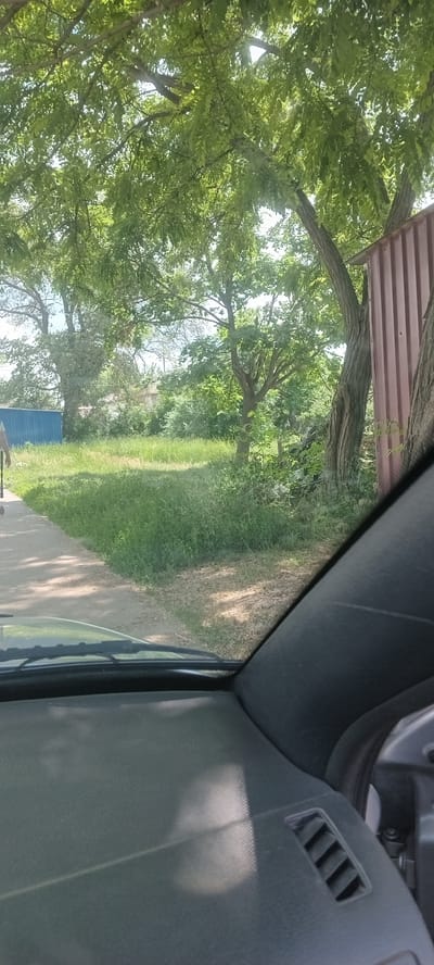 This media file shows a view from inside a vehicle, looking out through the windshield. The scene is outdoors, featuring lush green trees and grass, indicating a natural, possibly rural, setting. A dirt path or road runs along the right side of the frame, bordered by grass. In the background, there's a hint of structures, including what appears to be a blue building and possibly a reddish, corrugated metal roof. The lighting suggests it is daytime, with sunlight filtering through the tree canopy, creating dappled shadows on the path. The image has a slightly tilted perspective, as if the vehicle is parked on an incline or the photo was taken at an angle. The interior of the vehicle is visible in the foreground on the right, with a dark dashboard and a vent. There is no visible text in the image. The overall impression is a peaceful, natural scene viewed from a comfortable, enclosed space.