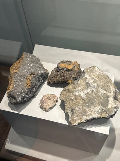 The image displays an indoor geological exhibit featuring four distinct rock or mineral specimens arranged on a white rectangular stand. This display is likely housed within a museum or educational institution, possibly in Tepotzotlán, Mexico, as indicated by the context.
The specimens vary in size, color, and texture. At the top-right, a large, light grey rock is prominent, characterized by numerous sparkling golden or yellowish metallic flecks embedded within its matrix. To its lower left, a medium-sized, dark brown to black rock shows some lighter, rust-colored patches. A smaller, light pinkish-purple, somewhat granular specimen is positioned to the right of the dark rock. The largest specimen is located at the bottom-left, a dark grey to black rock liberally coated with silvery or white metallic flakes, and it features a notable section of rough, earthy brown material.
The rocks are illuminated by directional lighting from the upper left, casting distinct shadows on the white stand and the background. The background itself is a plain, light grey surface, likely the interior of a display case. Reflections on what appears to be a glass enclosure are visible, particularly in the lower right, where a faint, distorted shape resembling the number "21" can be seen, though it is not clearly legible as text. No people or active events are present in the image, focusing solely on the mineral samples and their display.