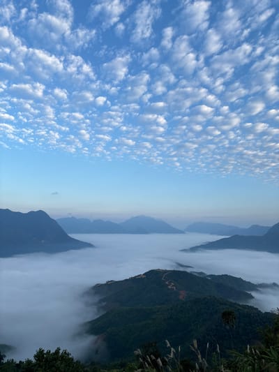 A stunning landscape featuring layers of mountains shrouded in low-lying clouds, creating a sea of mist. Lush green vegetation covers the mountains closest to the viewer. Above, a vibrant blue sky is filled with countless small, fluffy white clouds that form a patterned texture. The scene is serene and atmospheric.