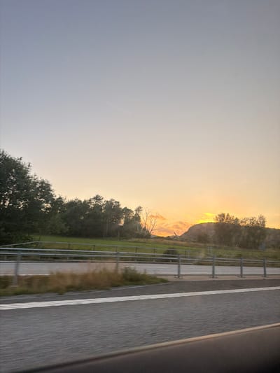 An exterior shot depicts a highway median and adjacent grassy area, bordered by a metal guardrail. Beyond the guardrail, a dense line of trees stretches across the frame, with a faint glow of sunset visible in the upper right portion of the sky, painting the horizon in shades of orange and yellow. The sky transitions from a pale, almost cloudless blue at the top to a warmer hue near the horizon. The image appears to have been taken from a moving vehicle, indicated by the motion blur on the road surface in the foreground. There are no people or animals visible in the frame. The scene suggests a natural landscape with elements of human infrastructure. Based on the provided information, the location is identified as the city of Dingle, Sweden.