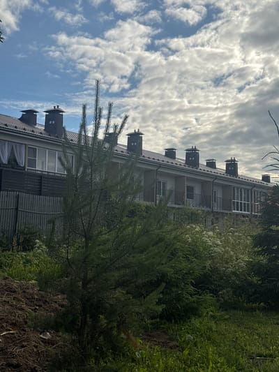 The image captures a row of modern townhouses with dark brown tiled roofs, each featuring multiple chimneys. A dark wooden fence runs along the front of the properties, bordering a lush green garden filled with various plants, including a prominent young pine tree in the foreground. The sky is partly cloudy with a mix of white and grey clouds against a blue backdrop. In the distance, the townhouses appear to be located in a suburban or semi-rural area, possibly within the city of Bol'shie Tomiki, Russia, judging by the architectural style and surrounding vegetation. No people or animals are visible in the frame. The overall impression is one of a quiet, residential setting bathed in natural daylight.
