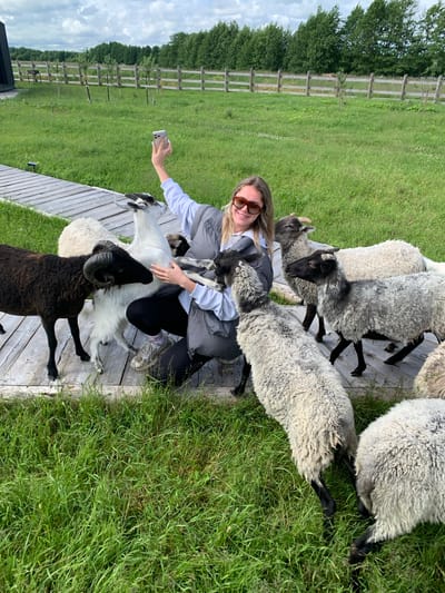 A woman in a grey vest and black leggings is kneeling on a wooden deck, surrounded by several sheep and a white llama. She is holding up a smartphone, seemingly taking a selfie. The animals are gathered around her, some looking at the camera, others facing away. The setting appears to be a rural area, with a grassy field, a wooden fence, and trees in the background. The sky is overcast with clouds. The location is identified as Далёкаўскі сельскі Савет, Belarus.