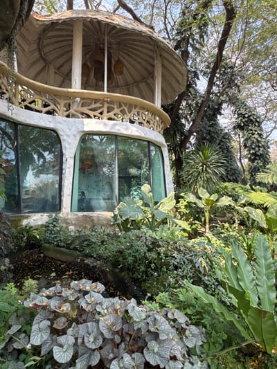A whimsical architectural structure nestles amid lush greenery. A rounded, mushroom-like roof crowns the building, supported by tree-branch-like railings. Large windows reflect the surrounding verdant foliage. An array of plants, including ferns and speckled begonias, cascade down the side, creating a natural, immersive environment. The architecture blends seamlessly with nature.
