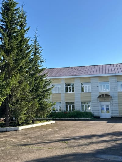 The image shows a building with a beige and white facade, and a dark brown roof. It has multiple windows and a glass-paneled door. In front of the building, there is a dense green coniferous tree. A paved asphalt path runs alongside the building and tree. The sky is clear and blue, suggesting a sunny day. The image is oriented vertically.

The scene appears to be set in a residential or institutional area. There are no people visible in the image, and no specific activity is taking place. The lighting and shadows indicate it is daytime, likely in the morning or afternoon.

Notable details include the texture of the building's siding and roof, the dense foliage of the tree, and the asphalt surface of the path. There is a concrete curb between the path and the grass/trees. No visible text is present in the image. The location context suggests this scene is in Mursalimkino, Russia.