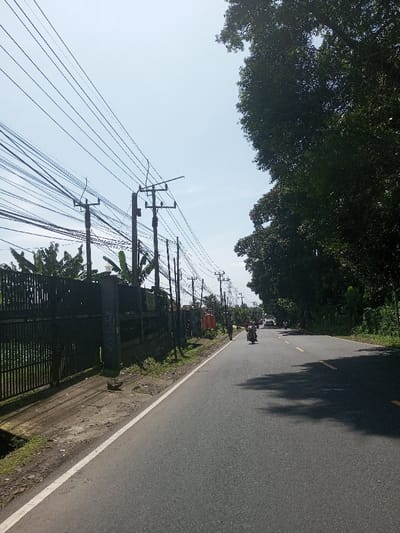 The scene depicts a daytime view of a paved road in Beteng_Pangkhar_Somthrang, Bhutan, under a clear, light blue sky. On the left, a series of wooden and concrete utility poles supports a dense, tangled network of black electrical and communication cables that extend into the distance. Below the utility lines, a dark metal fence with vertical bars encloses an area containing banana plants and other green foliage. A dirt shoulder, partially covered in grass and weeds, separates the fence from the asphalt road. The road features a solid white line on its left edge and faint yellow dashed lines further down the center. Large, dense trees with dark green foliage line the right side of the road, casting prominent shadows across the asphalt. Multiple vehicles are visible on the road, moving away from the viewer into the distance. A motorcycle with a single rider is centrally positioned in the right lane, while other vehicles, including cars and possibly additional motorcycles, are observed further ahead.