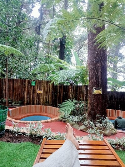 This image depicts an outdoor recreational area in Kuwukan, Indonesia. In the immediate foreground, the lower legs and bare feet of an individual, wearing light-colored trousers, rest on a wooden slatted lounge chair, indicating a first-person perspective or a subject at rest. The mid-ground features a landscaped section with two circular pools or hot tubs. The larger pool, positioned left of center, has a reddish-brown brick surround and contains blue water. A smaller, partially visible pool to the right contains a second individual, seen from behind, wearing a dark green hooded garment. The ground around the pools is covered in reddish-brown paving, contrasting with a patch of manicured green grass on the lower left. A variety of lush green vegetation, including large ferns, variegated shrubs, and numerous tall trees, surrounds the area. A prominent large tree with dark bark stands on the right, displaying a yellow sign with black text. A tall bamboo-slatted fence forms a backdrop, on which a small green sign with a human figure and another yellow warning sign are affixed. Dense forest trees create the overall background environment.