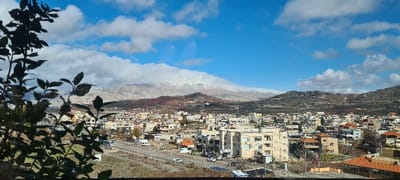 The image displays a panoramic elevated view of Buq'atha, Israel, under a bright blue sky with scattered white cumulus clouds. In the immediate foreground, dark green foliage, consisting of leaves and branches, partially obstructs the left side of the frame. The midground features the densely packed urban landscape of the town, characterized by numerous multi-story buildings with light-colored facades (beige, white, grey) and some with red or orange tiled roofs. A main asphalt road or street traverses the lower section of the town, with multiple white and dark-colored vehicles visible in motion and parked along its edges. Vegetated plots and bare trees are interspersed throughout the urban area. In the background, a prominent mountain range dominates the horizon. The higher peaks on the left are distinctly snow-capped, indicating cold temperatures or high altitude, while the remaining mountain slopes are rugged, brownish-green, and appear partially terraced or cultivated. No individuals are clearly discernible within the frame. The scene is illuminated by natural daylight, suggesting a clear day.