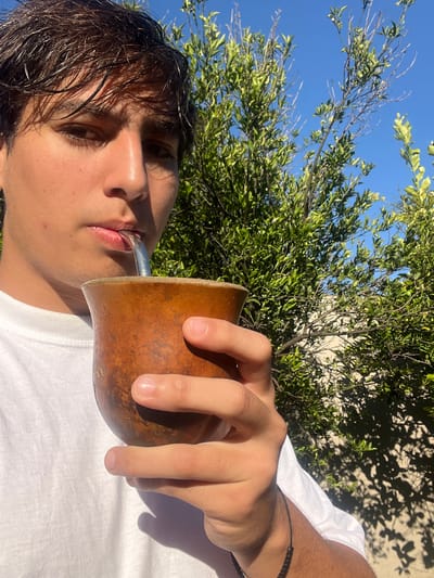 A young adult male is drinking from a gourd mate cup with a metal straw (bombilla). He is wearing a white t-shirt. The background includes a green, leafy tree and a clear blue sky. The scene is taking place in an outdoor environment with sunlight. It is unclear if the location is Gerli, Argentina without additional information.