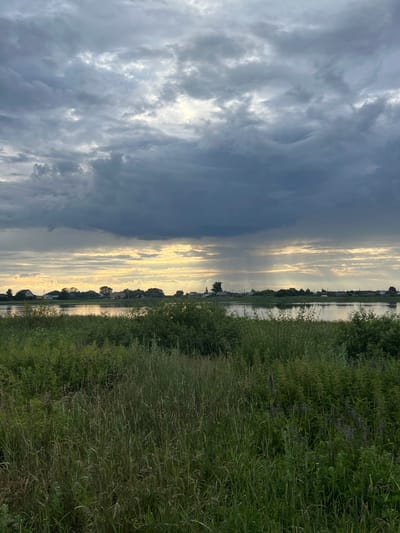 This vertical landscape photo depicts a serene rural scene in Pivkino, Russia, likely taken during a late afternoon or early evening given the soft, diffused light. The image is divided into three distinct horizontal bands. The left third is dominated by a dramatic sky filled with heavy, dark grey storm clouds. These clouds are partially broken by streaks of bright, ethereal yellow and white light, suggesting the sun is setting or has just risen behind them, creating a dramatic contrast between light and shadow.
The middle third of the image reveals a tranquil body of water, reflecting the sky and the distant treeline. Along the far bank of the water, a line of small houses and trees forms a picturesque village silhouette. The reflection on the water is calm, indicating minimal wind.
The right third of the image showcases a dense, overgrown embankment of tall green grass and wildflowers. The vegetation is lush and appears to be wild, with some plants bearing small purple flowers. The overall mood of the image is one of peaceful, natural beauty, with a hint of dramatic weather approaching from the left. There is no visible text in the image.