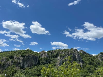 A wide-angle shot captures a rugged, tree-covered mountainside under a vibrant blue sky dotted with scattered white clouds. The rocky formations are a prominent feature, with sharp, jagged peaks and sheer cliff faces interspersed with dense green foliage. Lush trees, primarily deciduous, cover most of the slopes, creating a rich tapestry of green hues. In the foreground, tall grasses and some lighter green foliage are visible, suggesting a natural, untamed landscape. The overall impression is one of a serene, remote natural environment, characteristic of the mountainous regions surrounding Lyutibrod, Bulgaria.