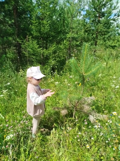 A young girl wearing a pink jacket, light-colored leggings, a white baseball cap with cat ears, and sunglasses stands in a field of tall green grass and wildflowers. She is reaching out with both hands towards a small pine sapling. The background consists of a dense forest of pine and spruce trees. The scene appears to be a natural outdoor environment.