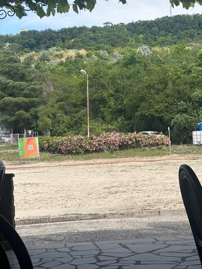 The image depicts a scene from a cafe or outdoor seating area in Topola, Bulgaria. In the foreground, the edge of a dark chair and a stone-tiled patio are visible. Beyond this, a sandy area separates the patio from a strip of dense pink flowering bushes. Behind the bushes, a white car is parked amongst lush green trees and foliage that covers a hillside. A white pole and a street lamp stand in front of the trees. Further up the hill, two houses are visible on the crest. A tall green tree is situated to the left of the frame, and a brightly colored orange and green sign with a QR code is displayed in the sandy area. The sky above is partly cloudy and blue, with some green leaves from an overhead vine framing the top of the image.