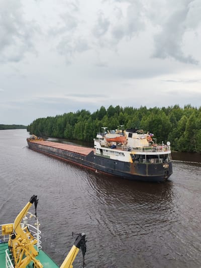 The image depicts a cargo ship navigating a river lined with dense green trees. The sky is overcast with gray clouds, suggesting a cloudy day. The water is a dark, murky brown, with ripples indicating the ship's movement.
The primary object is a long, dark-colored barge carrying a cargo of what appears to be lumber or similar materials, covered with a reddish-brown tarp. The barge has a superstructure at the stern, painted in black and white, with lifeboats and other equipment visible. A Russian flag is flying from the stern. The name "МЕДОН" is visible in white lettering on the stern.
In the foreground, partially visible, is the bow of another vessel, painted in green and yellow, with yellow cranes. This suggests the photo was taken from a second ship.
The scene is a river in a natural setting, likely in Novokemskii, Russia, given the dense forestation and the style of the cargo ship. The overall mood is calm and functional, with no visible people. The time of day is likely daytime, given the light, but the overcast sky creates a subdued atmosphere.