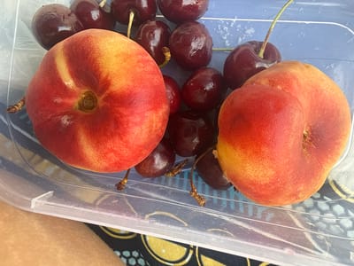Two nectarines and numerous cherries are visible in a clear plastic container. The nectarines are round with a gradient of red and yellow skin. The cherries are dark red and appear to be whole. The container is resting on a surface with a patterned fabric underneath. The background is blurred but suggests an outdoor setting, possibly a picnic. The image was taken in Gavà, Spain, on July 21, 2023.