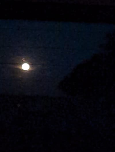 The image shows a night sky with a full moon. The moon is bright and appears as a white orb with some subtle reddish-orange hues. There is a dark silhouette of what appears to be trees or foliage in the foreground, obscuring the lower portion of the image. The sky is dark blue or black, suggesting nighttime. The overall impression is of a clear night with a prominent moon. There are no visible people, buildings, or specific landmarks that would indicate a location in the city of Somme-Vesle, France.