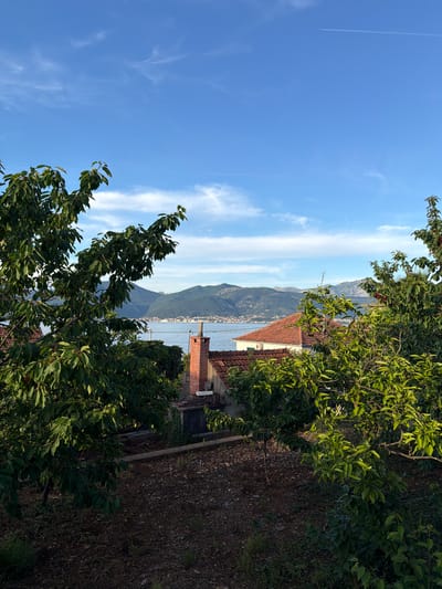 A slightly off-vertical, daytime shot presents a view in Krašići, Montenegro, with a clear, blue sky dominating the scene, marked by wispy clouds and a contrail from an aircraft.
The foreground is filled with lush green trees. In the midground, a red-tiled roof of a building is visible, accompanied by a brick chimney. Further in the distance, across a body of water, lies a mountain range. The landscape suggests a setting where residential areas blend into the natural terrain.