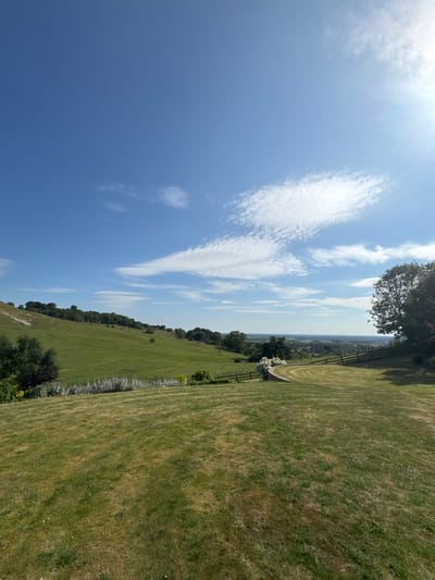 A vibrant landscape displays a clear blue sky streaked with cirrus clouds. Lush green fields stretch into the distance, bordered by trees and a wooden fence. The landscape seems to slope downhill. The sun is shining brightly, giving the sky a bright, cheerful look.