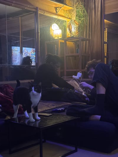 The scene is set indoors in Orsay, France, presenting a dimly lit living area with warm artificial light sources. Two adult males and one black and white domestic cat are present. On the left, a male with dreadlocks, dressed in dark clothing, is seated on a brown sofa, with his hands positioned over a dark object resembling a keyboard or game controller on his lap. Behind him, a large mirror reflects a screen displaying a video game interface featuring fantasy elements. A red blanket is draped over the sofa near him. On the right, a male with curly hair and glasses, also in dark attire, reclines on dark cushions while looking at and manipulating a smartphone, which emits light onto his hands. A white multi-outlet power adapter with a connected cable rests near his right shoulder. In the foreground, a black and white tuxedo cat stands centrally on a black rectangular coffee table, facing directly towards the viewer with its tail raised. On the table, to the cat's right, is a dark, flat object, possibly a remote control. The background features wooden shelving units holding two illuminated lamps; one is a textured, spherical lamp with an intricate pattern, and the other is a simpler, partially visible lamp. A hanging green plant is draped over the top of the shelving unit. A dark bottle is visible on a lower shelf. Cables are visible across the floor, and a blue gaming controller rests on the floor to the right of the coffee table.