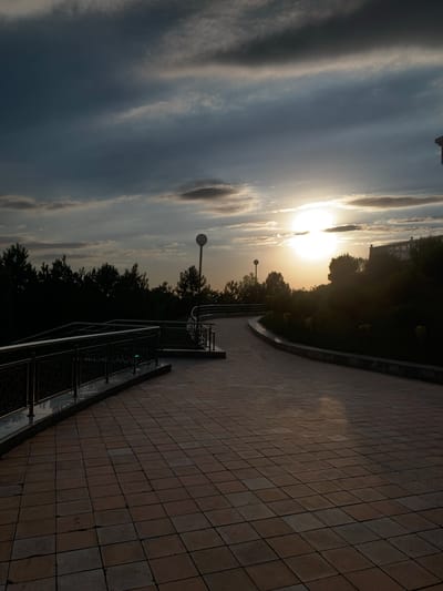 The image shows a paved walkway with square tiles, curving to the right. A metal railing runs along the left side of the walkway, with decorative metalwork visible. In the background, a dense line of dark green trees forms a silhouette against a cloudy sky. The sun is setting, partially obscured by clouds, casting a warm glow on the scene and creating reflections on the wet pavement. A single lamppost with a spherical light is visible on the left side of the walkway. On the right, a sloped area covered in dark foliage rises, with a structure at the top. The overall atmosphere is tranquil and scenic. This scene is likely located in Zaamin, Uzbekistan, a region known for its natural beauty and recreational areas.