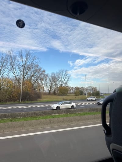 The image depicts a daytime view from inside a vehicle traveling on a multi-lane motorway near Kortrijk, Belgium. The perspective is through a window, looking forward and slightly to the right.
In the foreground, a dark gray headrest or seatback with a handle is visible on the lower right, indicating the viewer's position within a vehicle. The top edge of the vehicle's interior ceiling is visible across the top of the frame, showing a circular ventilation or lighting fixture and a small, dark circular sticker featuring a stylized human figure in a seated position in the upper left.
The central subject is a white Tesla Model 3 sedan, prominent in the lane closest to the viewer, traveling parallel to the viewing vehicle. This car features black wheels. Further down the motorway, in an adjacent lane, a white SUV or hatchback is visible, followed by a darker sedan or hatchback. Traffic appears moderate.
The motorway itself is asphalt with white dashed lane markings, separated by a low concrete median barrier topped with a strip of green grass. Beyond the motorway, a landscape of primarily bare deciduous trees with some remaining autumnal yellow-brown foliage lines the road. Behind the trees, a wide, open grassy field stretches towards the horizon under a bright blue sky with extensive scattered white altocumulus clouds. Several tall, slender gray utility poles or streetlights are visible along the side of the motorway and further into the landscape.