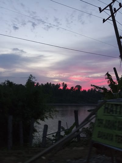 The image depicts a twilight scene in Blang Mee, Indonesia, characterized by a dramatic sky filled with vibrant pink and purple hues, indicative of sunset or sunrise. The sky is dotted with scattered clouds, some tinged with the warm colors of the setting or rising sun. In the foreground, silhouetted against the colorful sky, is a dense line of trees, including palm trees, suggesting a tropical or subtropical environment. A body of water, likely a river or lake, is visible behind the trees, reflecting the soft light of the sky.
To the right of the image, a utility pole with wires stretches upwards, its structure partially obscured by foliage. The pole itself appears weathered, with insulators visible at the top. In the lower right corner, a green sign with some text is partially visible. The visible text reads "HATI-HATI DI LORONG TERLARANG" which translates to "CAUTION FORBIDDEN LANE". The overall mood is serene and atmospheric, capturing the tranquil beauty of dusk in a natural landscape. The time of day is clearly twilight, and the weather appears calm. The scene evokes a sense of peace and natural beauty.