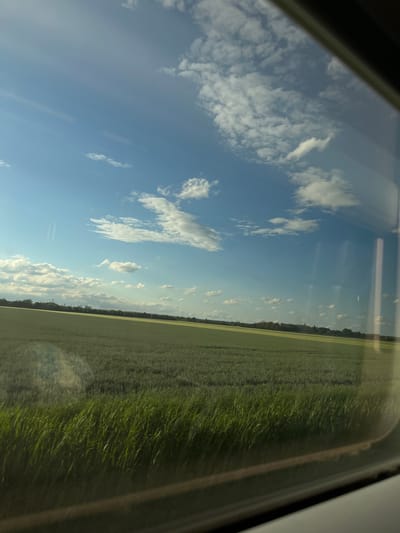 The image captures a view through a window, likely from a moving vehicle, overlooking a vast, green agricultural field under a bright blue sky dotted with white clouds. The field appears to be a crop, possibly wheat or barley, with a distinct texture and varying shades of green. In the distance, a line of trees forms the horizon, beyond which industrial structures are faintly visible, suggesting a proximity to urban or industrial areas. The foreground of the image is dominated by the window frame, which is dark and reflects some light, and a band of taller, more vibrant green grass or reeds. The lighting suggests it is daytime, with sunlight casting shadows and illuminating the landscape. This scene could be located in the outskirts of Wittenberg, Germany, an area known for its agricultural lands surrounding the historic city.