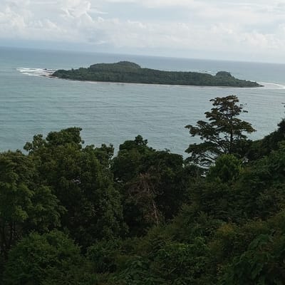 A wide-angle, high-angle shot captures a view of a lush green island situated in the turquoise ocean, with a cloudy sky overhead. The island, characterized by its dense vegetation and hilly terrain, is visible in the mid-ground. The foreground is dominated by a thick canopy of dark green trees and foliage, suggesting a jungle-like environment. The ocean stretches out to the horizon, meeting the sky under a light grey, overcast sky with scattered white clouds. Waves can be seen crashing against the shore of the island. The image depicts a natural, tropical landscape, likely a remote or undeveloped area.