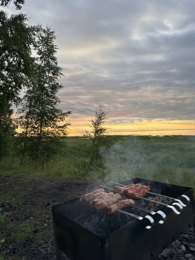 The image depicts an outdoor scene at dusk, likely in Bolshaya Izhora, Russia, with a focus on a barbecue grill. Several skewers of sausages are cooking over charcoal, producing visible smoke. The grill itself is black and positioned on dark, uneven ground covered with sparse vegetation. To the left, tall, leafy trees are prominent, with a dark dirt path in the foreground. In the background, a wide expanse of green marshland stretches towards a body of water, possibly the Gulf of Finland, which is illuminated by the soft orange and yellow hues of a setting sun. The sky is overcast with textured clouds, allowing for a diffused glow from the horizon. No people are visible in the frame.