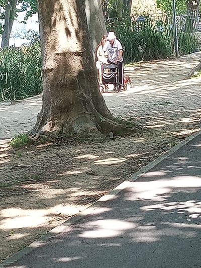 The image shows two people and a dog walking on a sandy path in a park, with a large tree in the foreground. The person in front, wearing a white hat and shirt, appears to be an elderly man pushing a stroller. Beside him, a woman with long hair and a light-colored top walks alongside. A small, reddish-brown dog is visible at the man's feet, walking in the same direction.

The setting is a park with lush green foliage and trees in the background. Sunlight filters through the leaves, casting dappled shadows on the path and ground. A paved pathway runs along the right side of the image, suggesting a recreational area. The overall atmosphere appears relaxed and peaceful.

The time of day is likely daytime, given the bright sunlight and shadows. The weather seems pleasant, suitable for outdoor activities. The location cues, such as the sandy path and the presence of trees and greenery, are consistent with a park or natural area.

There is no visible text in the image. The activity taking place is a leisurely walk, possibly a family outing or a stroll with pets. The people's postures and the presence of the stroller suggest a relaxed and unhurried pace.