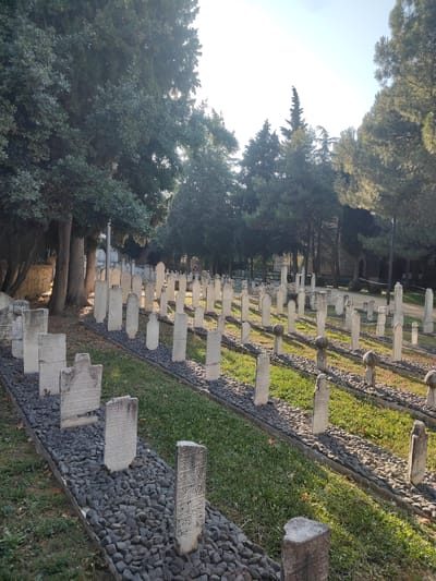 This media file is a photograph of a cemetery with many gravestones. The gravestones are made of white stone and are arranged in rows, with a path of dark grey pebbles between each row. Some of the gravestones have intricate carvings and inscriptions on them. The cemetery is set within a park-like environment with lush green grass and tall trees. The trees are a mix of deciduous and evergreen varieties, with dense foliage casting shadows on the ground. The sun is shining, indicating it is daytime, and the lighting suggests it could be late afternoon with the warm sunlight filtering through the trees. The overall atmosphere is peaceful and serene. There is no specific activity or event taking place, other than the quiet presence of the gravestones in their resting place. The location is implied to be Osmangazi, Turkey, a historical region. The visible text on the gravestones is in Arabic script, common in Islamic cemeteries.