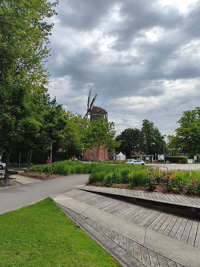 The image depicts a street scene in Papenburg, Germany, under a cloudy sky. In the background, a historic windmill with four sails is visible, constructed of brick. To the left of the windmill, mature trees with green foliage line a pathway. A white car is parked on the left side of the image, next to a table and chairs. A man in a red shirt is standing near the trees. In the foreground, a paved pathway curves through a landscaped area with lush green grass and flowering bushes with pink blossoms. A wooden seating area with a sloped design is also present in the foreground. Several people are walking in the middle ground, and tents and other structures are visible behind the trees. A bus stop sign can be seen in the distance.