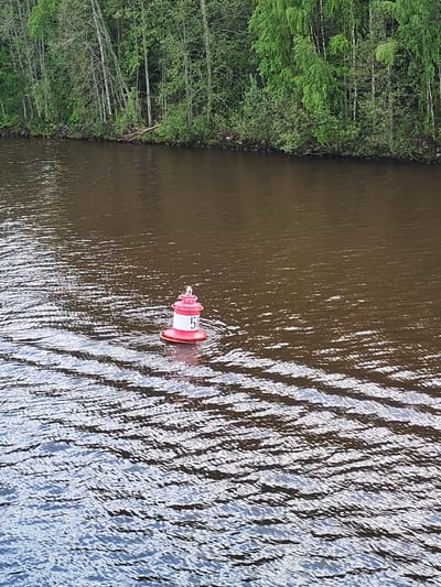 The image shows a red and white buoy with the number "51" on it floating in a body of water. The water reflects the sky and surrounding trees, creating ripples and patterns. In the background, a densely wooded shoreline is visible. The location is likely the Sheksna River in Goritsy, Russia, based on the presence of navigation buoys common in waterways of this area.