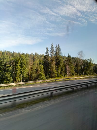 The image shows a highway bordered by a lush, green forest. The road is paved and appears to be a multi-lane highway, indicated by the presence of a guardrail separating lanes. The guardrail is made of metal and appears to be in good condition. On the other side of the guardrail, a dense forest with various types of trees stretches across a hillside. The trees are predominantly evergreen, with some deciduous trees interspersed, all in full leaf. The sky above is a light blue with scattered, wispy clouds. The lighting suggests it is daytime, likely late afternoon or early morning, given the quality of light. There are no people or vehicles visible in the frame. The image is taken from a moving vehicle, as indicated by the slight motion blur on the road and the perspective. The scene depicts a natural landscape adjacent to a transportation route.