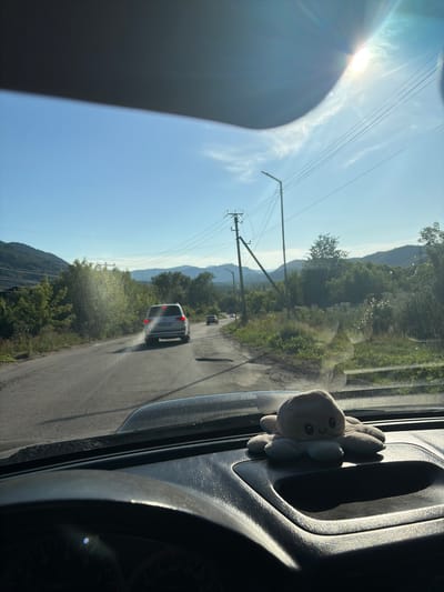 This media file captures a view from inside a vehicle, looking out a window at a road trip scene. The primary subject is the road, winding through a hilly, green landscape with scattered trees and vegetation. The sun is bright, indicating daytime, and the sky is a clear blue, suggesting fair weather.

Several vehicles are visible on the road, including a silver van or SUV with its brake lights illuminated, and another smaller vehicle further ahead. Power lines and utility poles run along the side of the road, hinting at a somewhat rural or semi-developed area. In the foreground, on the right side of the frame, a plush toy octopu s is perched on the interior of the vehicle's door panel, its grey form contrasting with the dark, textured surface.

The perspective is from a passenger's viewpoint, and the tilted angle of the photograph adds a dynamic feel. The bright sunlight creates lens flares and highlights the curves of the road and the interior of the car. The overall mood is relaxed and contemplative, consistent with a scenic drive. The location context is Ülbı, Kazakhstan. There is no visible text in the image.