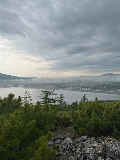 A hazy, overcast view overlooks a wide body of water, likely a bay or estuary, with a low-lying town nestled along its shores. The town is characterized by numerous buildings and a prominent sandy coastline, which appears eroded in places, creating a ridged texture. Mountains form the distant backdrop, partially obscured by mist and low-hanging clouds. In the foreground, dense evergreen trees, likely pine or similar conifers, dominate the scene, with rough, rocky terrain visible at the bottom of the frame. The overall atmosphere is subdued due to the cloudy weather, suggesting a temperate or cool climate. This vista is likely from a vantage point on a hill or mountain overlooking the Sea of Okhotsk near Magadan, Russia.