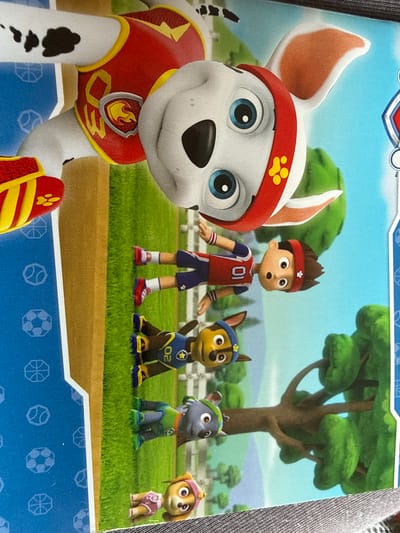 The image depicts a scene from the animated television series "PAW Patrol." In the foreground, a large white dog with black spots and red and yellow uniform is featured. Below and to the right of this dog, there are three children and three other dogs, all with cartoonish features. The children are dressed in sportswear, one in a red shirt with the number "10" on it, another in a blue shirt with dark shorts, and a third in a green outfit. The dogs are depicted in various poses: one brown dog with a yellow bandana and a blue badge, a grey dog with a green hat, and a small brown dog with a pink outfit. The background consists of a green grassy field, trees, and a blue sky. The overall setting appears to be a park or outdoor recreational area. There is no visible indication of the city of Ridabu, Norway within the image.