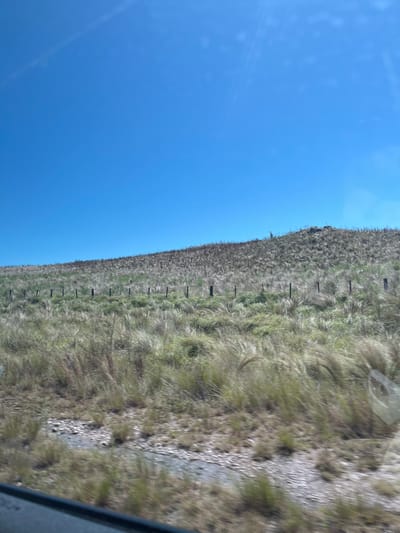 The image depicts a rural landscape under a clear, bright blue sky in Valle Hermoso, Argentina. A grassy hillside, covered in a mix of golden-brown and green vegetation, slopes upwards from left to right, occupying the majority of the lower frame. Approximately midway up the hill, a series of irregularly spaced dark wooden fence posts creates a horizontal line. Near the crest of the hill, slightly right of center, a solitary deer, identifiable by its antlers, stands silhouetted against the sky. The immediate foreground, blurred due to motion, shows a patch of light-colored gravel or small stones, indicating a roadside or similar unpaved area from which the image was captured, likely from a moving vehicle. No human figures are present. The scene is illuminated by direct sunlight.