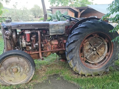 This image shows an old, rusty red and black tractor parked on a grassy area. The tractor is the main subject, with a focus on its weathered metal parts, exposed engine components, and large, treaded tires. The front left tire is smaller and also appears worn. In the background, there's a rustic wooden building with a brown roof, possibly a shed or a small structure. Several green prickly pear cactus plants are visible near the building, suggesting a warm or Mediterranean climate. Lush green foliage and trees form a backdrop, with a hint of pink flowers on the left side. The lighting suggests it is daytime, with soft, diffused light indicating it might be overcast or late afternoon. The overall scene evokes a sense of rural idyll and a rustic, perhaps abandoned, agricultural setting. The setting appears to be outdoors in a rural or semi-rural area. No people are visible in the image.
Visible text on the rear tire: "Kleber" and "Colombes".