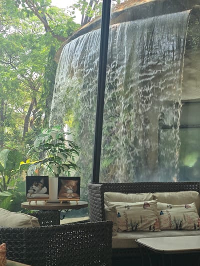A view from inside a building looking out at a waterfall in Ban Pa Daet North, Thailand. A window pane separates the interior from the exterior. The waterfall flows over a rocky structure covered in vegetation. Lush trees and plants are visible below the waterfall. Inside the building, a woven chair with patterned cushions is situated next to a small table. Two small paintings of cats are propped on the table. A potted plant is also visible on the table.