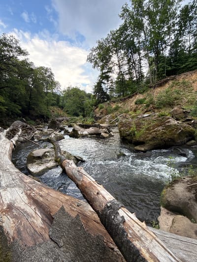 This is an eye-level, wide-angle, outdoor photograph of the Irrel-Wasserfälle (Irrel Waterfalls) in the municipality of Irrel, Germany. The scene depicts a rocky riverbed with a stream flowing through it. Several large, moss-covered boulders are visible in the water and along the banks. In the foreground, two large, weathered logs lie across the river, partially submerged in the water. The riverbanks are steep and covered with trees and vegetation. The sky above is partly cloudy with patches of blue sky. The overall impression is one of a natural, rugged landscape.