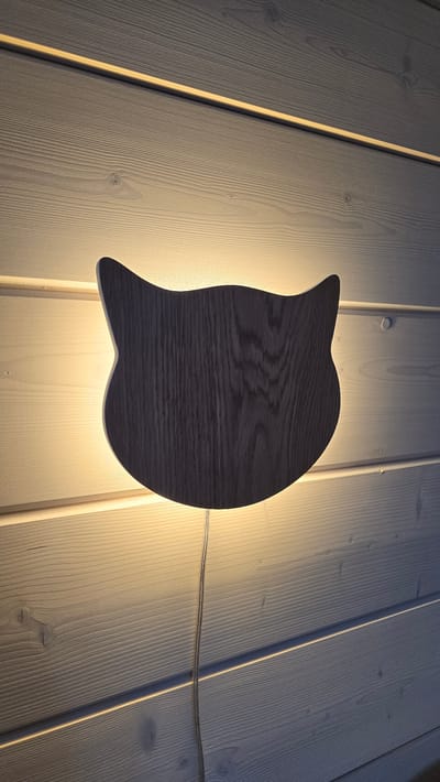 This media file depicts a unique wooden wall lamp shaped like a speech bubble. The lamp is mounted on a wall made of vertical wooden planks. The wood of the lamp has a dark grain pattern, contrasting with the lighter, unfinished wood of the wall. A warm, soft light emanates from behind the speech bubble shape, creating a halo effect and illuminating the surrounding wooden planks. A thin, clear power cord is visible, extending from the right side of the lamp and running horizontally across the wall. The lighting suggests it is either evening or the room is dimly lit, creating a cozy and modern ambiance. There is no visible text in the image. The scene is likely an interior space, possibly a living room, bedroom, or hallway in Kamenka, Russia.
