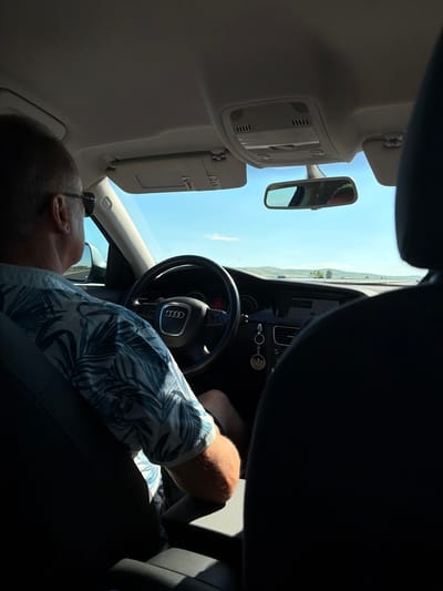 A man wearing a blue and white palm-leaf patterned shirt and sunglasses is driving an Audi car. The car's interior is visible, including the steering wheel, dashboard with a display screen, and rearview mirror. The man's left arm rests on the window frame, and a keyring with a circular charm hangs from the dashboard. The exterior view through the windshield shows a clear blue sky and a distant landscape of hills and trees. The image is taken from the perspective of a passenger in the back seat, with the back of another person's head visible in the foreground. The scene appears to be a road trip on a sunny day.