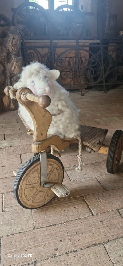 A fluffy white stuffed sheep, resembling a toy, sits on a wooden tricycle. The tricycle has three wooden wheels with dark rubber tires. The front wheel is larger and has pedals. The sheep is positioned as if riding the tricycle, with its forelegs resting on the handlebars. The scene is set indoors, with a brick floor visible. In the background, there are antique wooden and metal objects, possibly part of a display or collection, including large wagon wheels and ornate metalwork. The overall environment suggests a historical or museum-like setting. The image captures a detailed view of the sheep and tricycle from a slightly low angle, with the background elements softly blurred. The location of Pakruojis, Lithuania is not discernible from the image itself but is provided as context.
