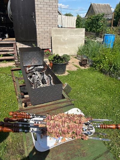 The image depicts an outdoor scene, likely a backyard in Slavyanka, Russia, under a bright sky with scattered clouds. In the foreground, a collection of metal skewers loaded with raw chicken hearts, seasoned with herbs, rests on a white tray. These skewers are positioned on a green, weathered metal surface, possibly part of a grill or cart. Behind the skewers, a metal charcoal grill box is filled with glowing embers and ash, indicating recent or ongoing use. The grill box is situated on a rusty metal stand.
To the left of the grill, a dark-colored door, possibly of a shed or outbuilding, is ajar, revealing a glimpse of what appears to be equipment or storage inside. Wooden steps lead up to this structure. The ground is covered with vibrant green grass dotted with small white and yellow wildflowers.
In the background, various elements suggest a rural or suburban setting. A light-colored concrete slab or wall is visible, along with a tall, weathered wooden fence. Beyond the fence, there is dense green foliage and a structure with a grey, corrugated roof, potentially a house or barn. A bright blue plastic barrel stands among the greenery. The overall impression is that of a domestic outdoor space prepared for a barbecue or cookout. No people are visible in the image.