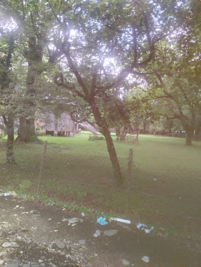 The image depicts an outdoor scene in Bandza, Georgia, featuring a natural landscape with elements of human presence and neglect. In the foreground, a chain-link fence runs across the frame, with a dirt and gravel path littered with small rocks and debris, including plastic bags and wrappers, to its left. Beyond the fence, a grassy area unfolds, dotted with trees of various sizes.
To the left, a large, older tree with a textured bark stands prominently. In the mid-ground, a wooden structure, possibly a shed or an outbuilding, is visible. It has weathered vertical planks and a slanted roof. A metal staircase ascends to an opening in the structure. Near the base of this structure, a light brown, deer-like animal is grazing on the grass. Further into the background, more trees and vegetation create a dense, natural environment.
In the middle of the grassy area, a rustic, cage-like structure made of intertwined branches or twigs is present. The overall atmosphere suggests a rural or semi-rural setting, possibly a farm or a residential area with a significant natural component. The presence of litter indicates a lack of maintenance or care in the immediate foreground area. The lighting suggests it might be a cloudy day or late afternoon, with diffused sunlight filtering through the trees.