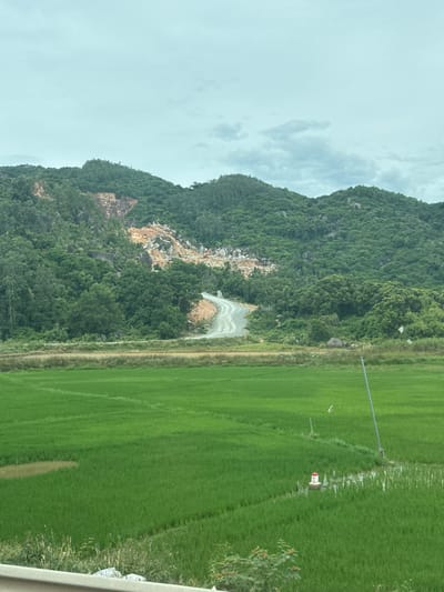 This image depicts a rural landscape in Hoa Xuan, Vietnam, characterized by lush green rice fields in the foreground and a densely forested mountain range in the background. A winding dirt road snakes up the mountainside, where evidence of quarrying is visible with exposed rock and debris. The sky is overcast with soft clouds, suggesting a temperate climate. Several small structures, possibly markers or utility poles, are scattered within the rice fields. No people are visible in the scene.