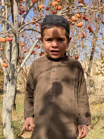 A young boy with brown hair and a black skullcap stands near a persimmon tree laden with fruit. He wears a brown, button-down shirt and holds a piece of flatbread. The tree's bare branches reach towards a pale blue sky. The ground is covered in grass and dry leaves, suggesting it's autumn. The boy faces the camera with a slight smile.